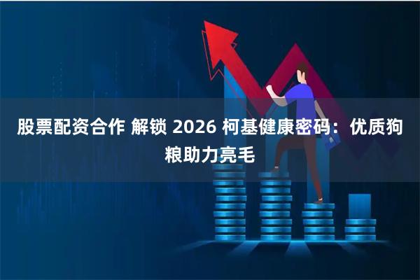股票配资合作 解锁 2026 柯基健康密码：优质狗粮助力亮毛